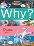 Why? Artificial Intelligence